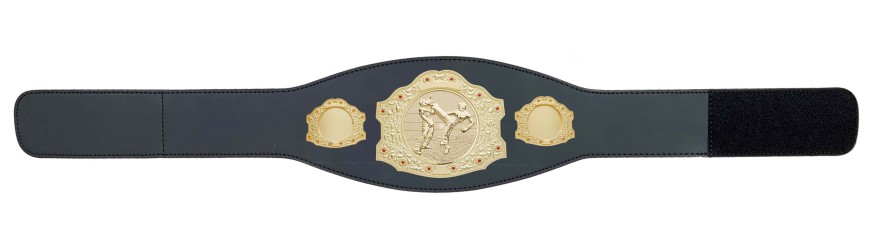 GOLD CHAMPIONSHIP BELT - XXLMIDI/G/KICKBOXG - AVAILABLE IN 4 LEATHER COLOURS GOLD CHAMPIONSHIP BELT - XXLMIDI/G/KICKBOXG - AVAILABLE IN 4 LEATHER COLOURS